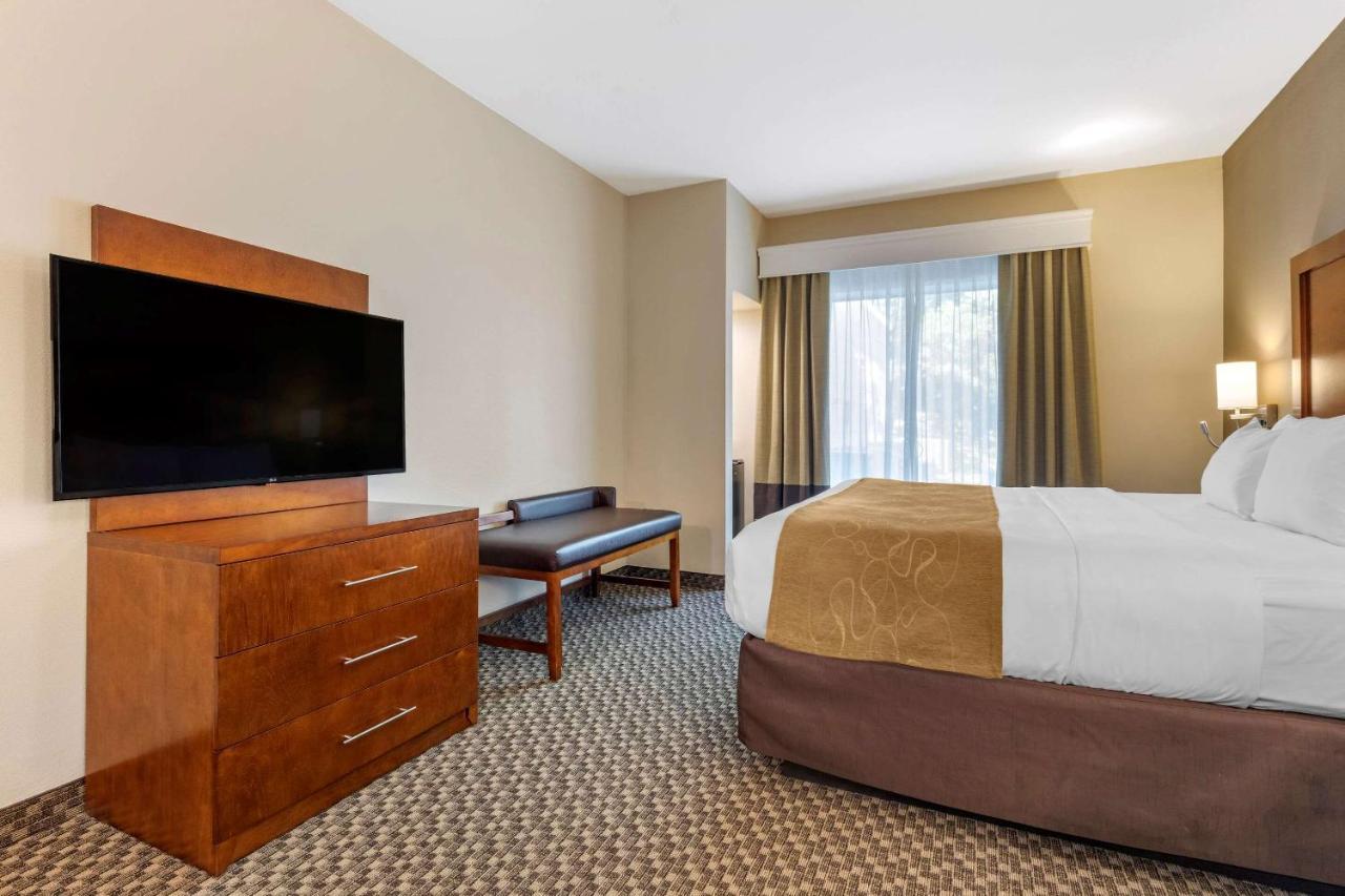 Comfort Hotel